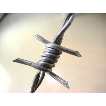 Hot Sale Electro Galvanized Barbed Wire for Farm